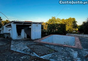 imagem_10