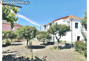 imagem_21