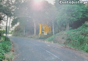 imagem_14