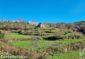 Terreno Agrícola em Cortiçô da Serra, Vide entre Vinhas e Salgueirais