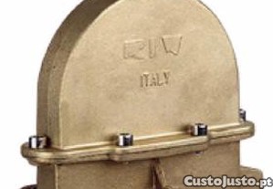 imagem_1