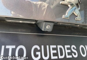 imagem_11