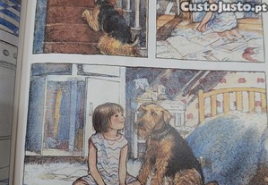 imagem_4