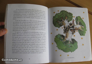 imagem_8
