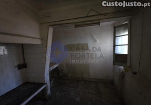 imagem_16