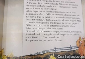 imagem_4