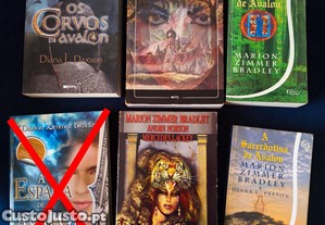 imagem_1