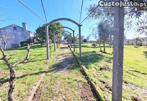 imagem_22
