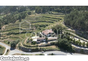 Quinta - Herdade Amarante