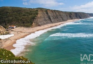 imagem_7