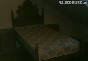 imagem_11