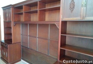 imagem_5
