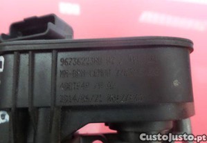 imagem_3