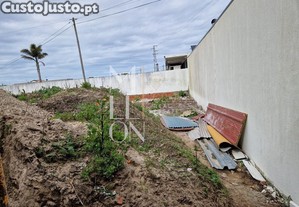 imagem_20