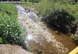 imagem_22