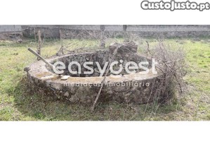 imagem_10