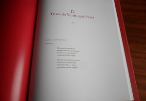 imagem_10