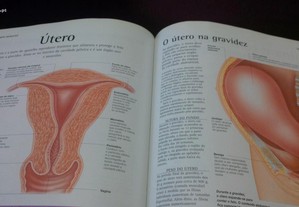 imagem_8