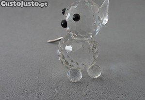 imagem_3