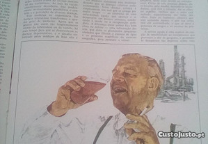 imagem_8