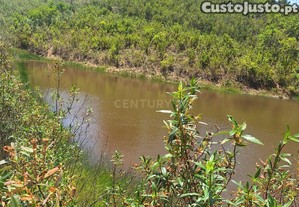 imagem_7