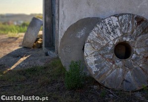 imagem_13