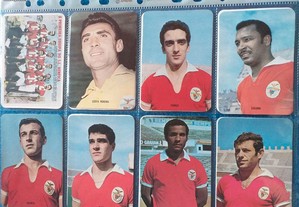 Calendários do S.L.Benfica (1995)