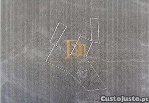 imagem_11