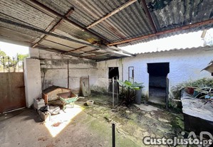 imagem_19