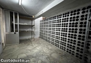 imagem_21