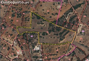 Terreno misto em Conceição e Estoi