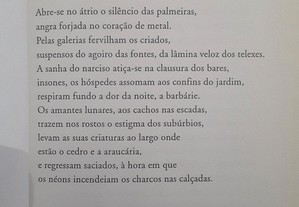 imagem_5