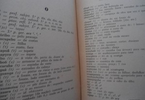 imagem_6