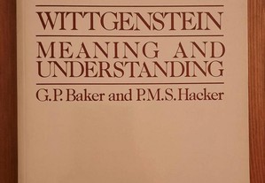 Wittgenstein: Meaning and Understanding