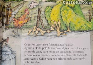 imagem_5