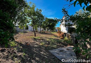imagem_9