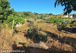 imagem_31