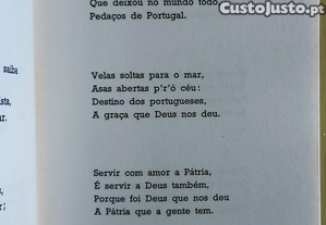 imagem_8