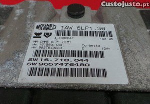 imagem_3