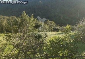imagem_27