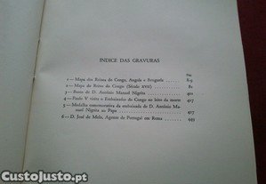 imagem_13