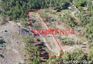 Terreno em freixianda
