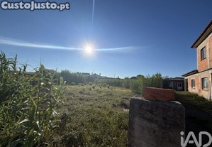 imagem_21