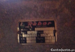 imagem_4