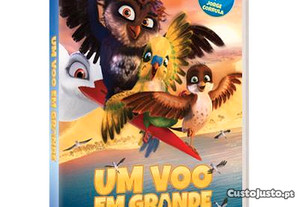 imagem_4