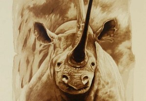 Serigrafia sobre papel, motivo "Rinoceronte