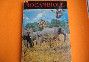 Moçambique, 1963