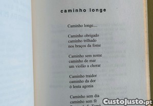 imagem_8