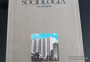 Sociologia 10º e 11º Anos de Escolaridade 2º Volume