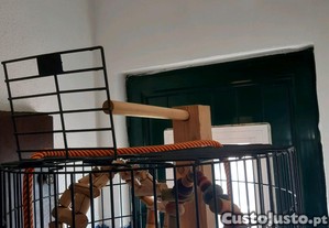 imagem_2
